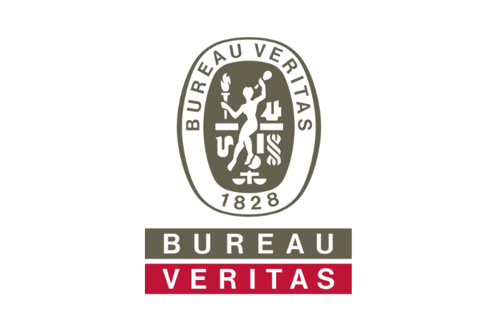 Logo Bureau Veritas