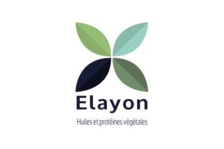 Logo Elayon