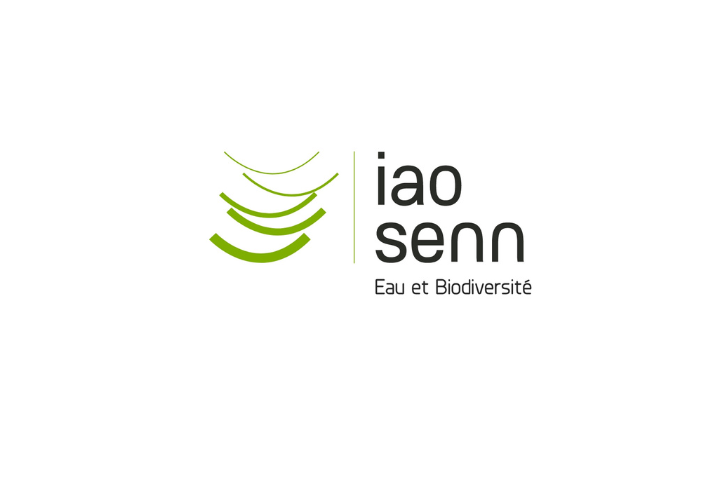 Logo iao senn