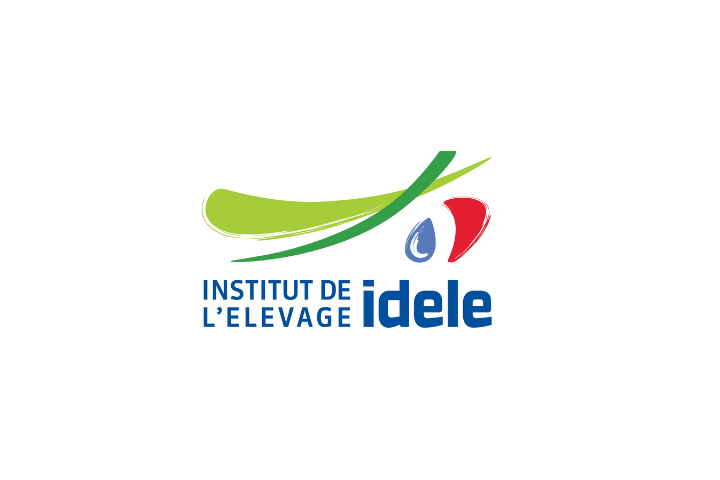 Logo IDELE