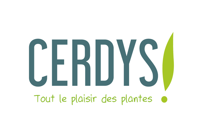 Logo Cerdys