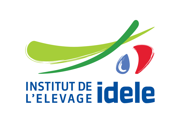 Logo IDELE